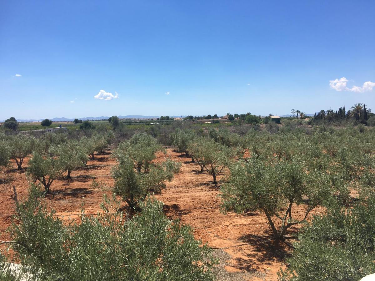 Finca Tres Molinos B&B Roldán Εξωτερικό φωτογραφία