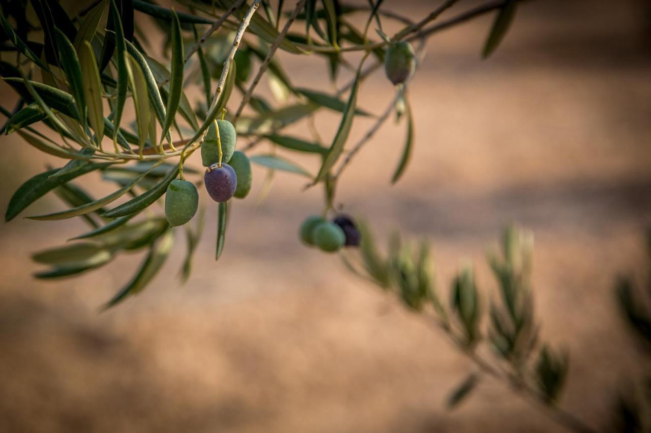 Finca Tres Molinos B&B Roldán Εξωτερικό φωτογραφία